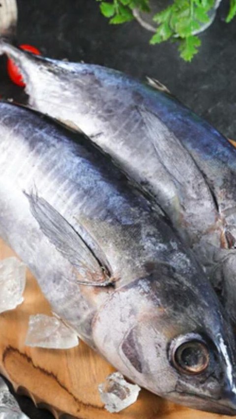 2. Ikan Tuna<br>