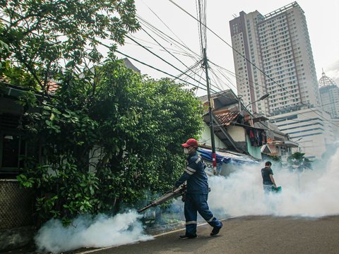 Residents of East Jakarta May Be Fined Rp50 Million If Dengue Mosquito Larvae are Found in Their Homes