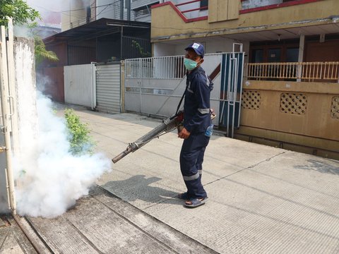 Residents of East Jakarta May Be Fined Rp50 Million If Dengue Mosquito Larvae are Found in Their Homes