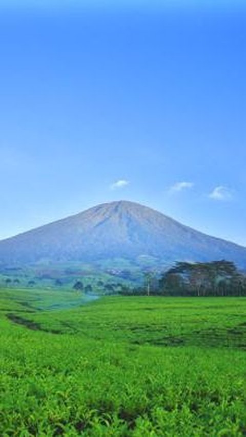 Fakta Unik Kota Pagar Alam, Jumlah Populasi Paling Sedikit di Sumatra Punya Banyak Situs Megalitikum<br>