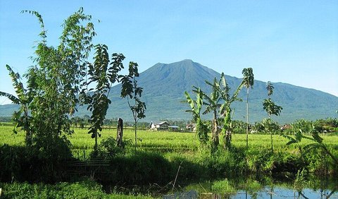 <b>Gagahnya Gunung Dempo</b>