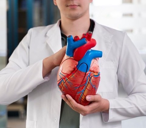 Mengenal Operasi Bypass Jantung CABG bagi Penderita Penyakit Jantung Koroner di RS Grha Kedoya