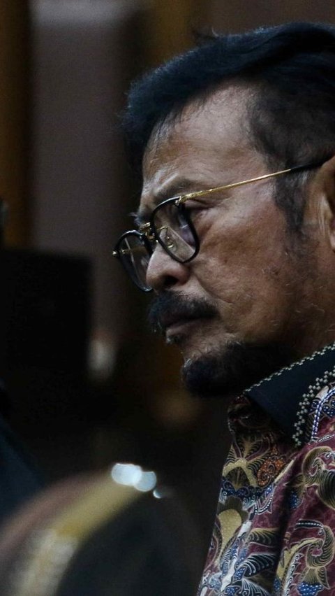 Terdakwa kasus pemerasan dan gratifikasi Syahrul Yasin Limpo menjalani sidang lanjutan di Pengadilan Tipikor, Jakarta, Senin (13/5/2024). Sidang lanjutan mantan Menteri Pertanian itu beragenda mendengarkan keterangan tujuh saksi yang dihadirkan Jaksa Penuntut Umum KPK, diantaranya Direktur Jenderal (Dirjen) Prasarana dan Sarana Pertanian (PSP) Kementerian Pertanian (Kementan) Ali Jamil Harahap dan Kabag Umum Dirjen Perkebunan Kementan Sukim Supandi.