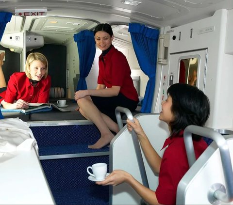 Turns out This is the Secret Place for Pilots and Cabin Crew to Rest on the Plane