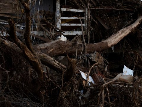 Suasana yang memperlihatkan sisa-sisa kehancuran setelah terjangan banjir parah melanda wilayah Passo de Estrela di Cruzeiro do Sul, Negara Bagian Rio Grande do Sul, Brasil, pada tanggal 5 Juni 2024.