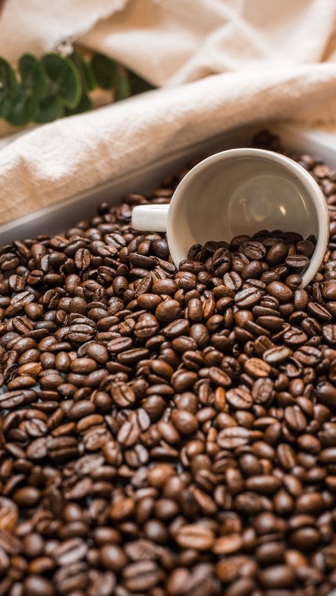 Robusta dan arabika adalah dua jenis kopi yang paling banyak diminati dan dikonsumsi secara umum.