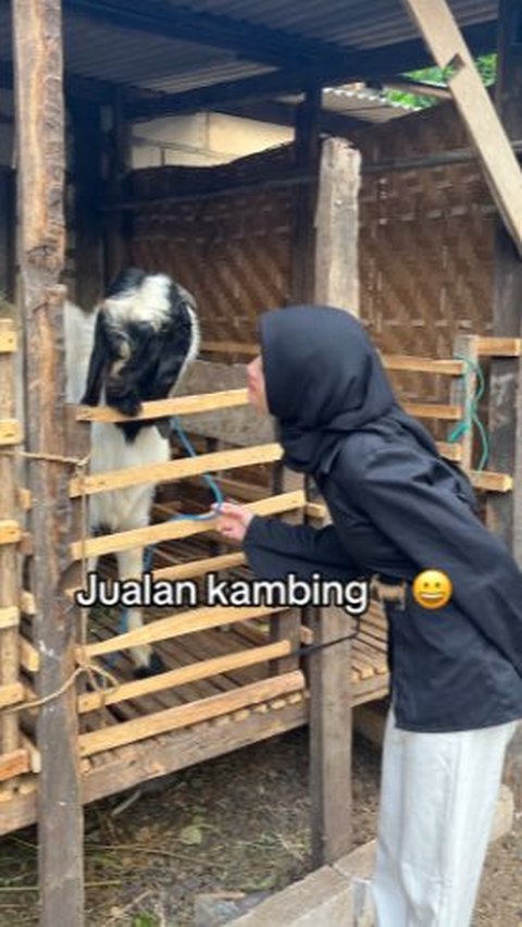 However, after successfully completing her undergraduate and postgraduate education, Meiyin instead chose to become a goat seller.