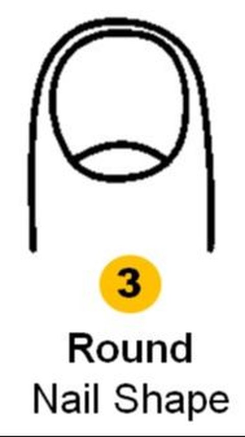 Bentuk Kuku Bulat. (JagranJosh)