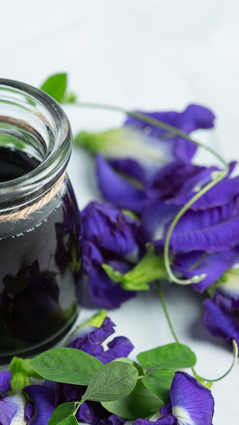 Ilustrasi teh bunga telang/copyright freepik.com/jcomp
