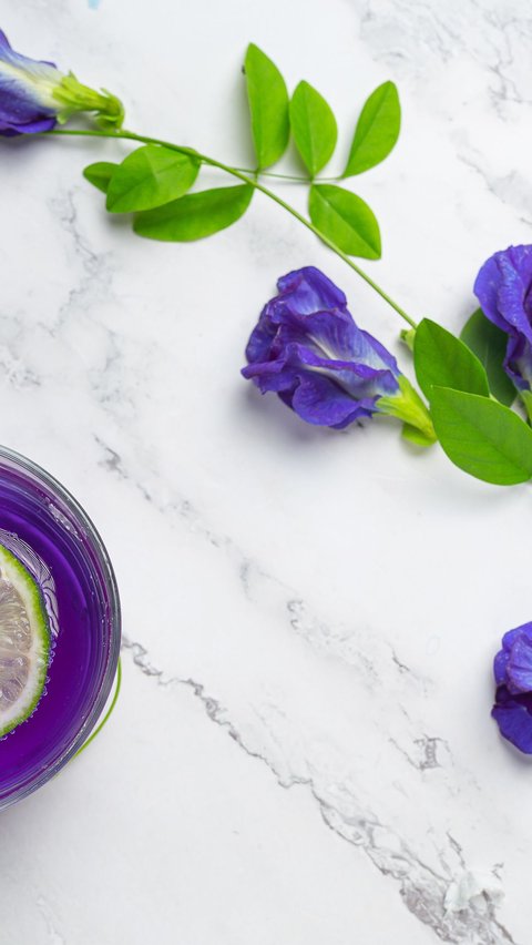 Manfaat bunga telang untuk tubuh (Credit: Freepik/jcomp)