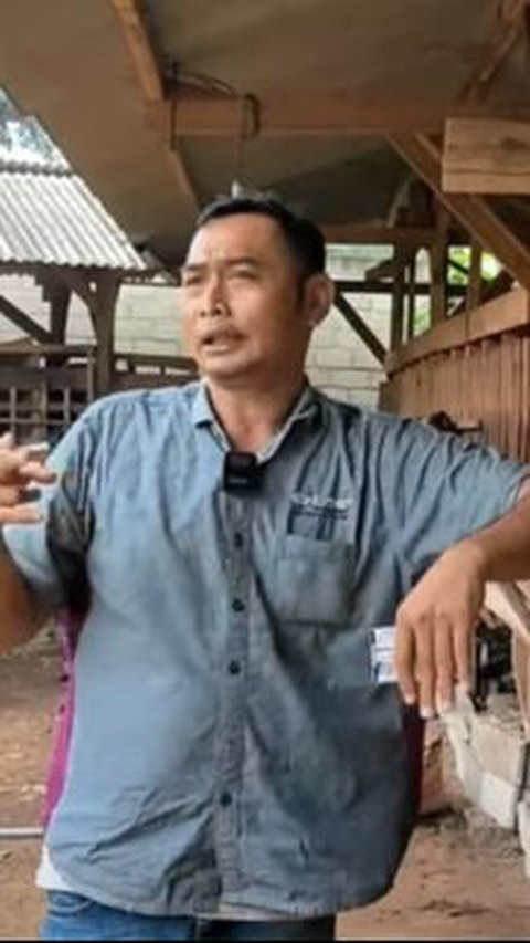 Dulu Bisnis Lada Hancur, Pria Ini Kini Beternak Kambing Sukses Bisa Beli Tanah dan Lunasi Utang<br>
