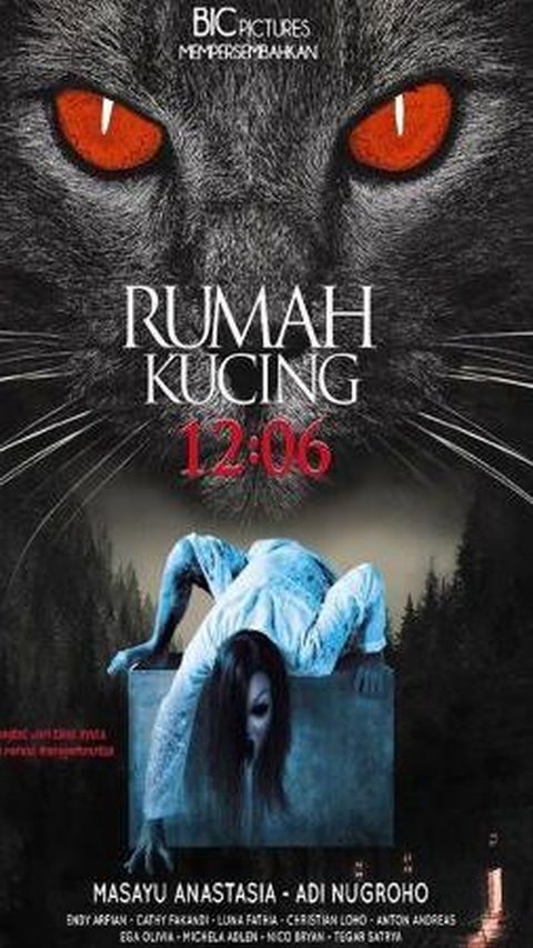 12:06 Rumah Kucing