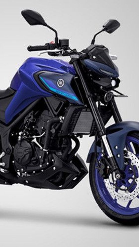 Lihatlah Harga Motor Yamaha MT-25 Bekas, Paling Murah Rp26 Jutaan