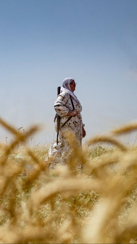 FOTO: Sangar! Perempuan di Suriah Ini Jaga Ladang Gandum Sambil Bawa Senapan Serbu