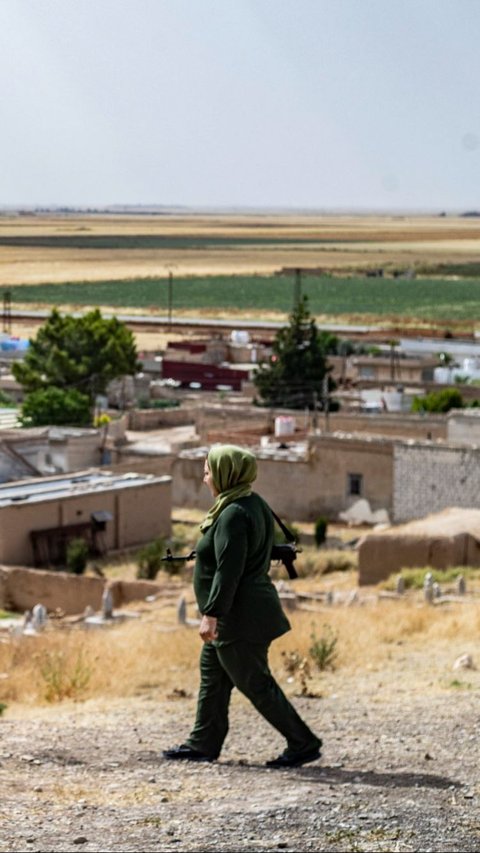 Ladang gandum luas di timur laut Suriah merupakan sumber pendapatan penting wilayah semi-otonom yang dipimpin Kurdi. Foto: Delil Souleiman/AFP