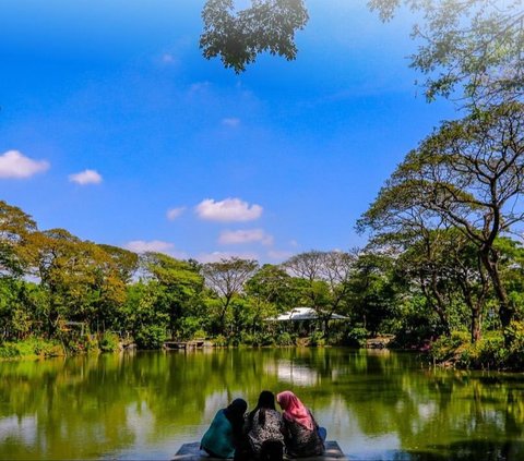 Kebun Bibit Wonorejo Spot Menenangkan Diri di Tengah Hiruk Pikuk Surabaya, Tempatnya Teduh dan Syahdu