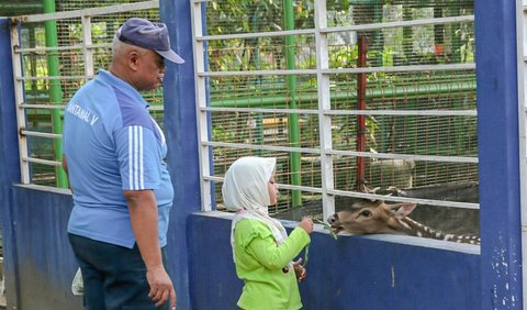 Bermain Ayunan sampai Perosotan Bersama Anak