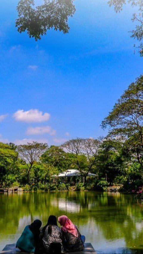 Kebun Bibit Wonorejo Spot Menenangkan Diri di Tengah Hiruk Pikuk Surabaya, Tempatnya Teduh dan Syahdu