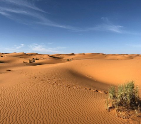 Prohibited to Bring Soil from Makkah or Madinah to Hometown, Apparently This is the Law and Its Consequences