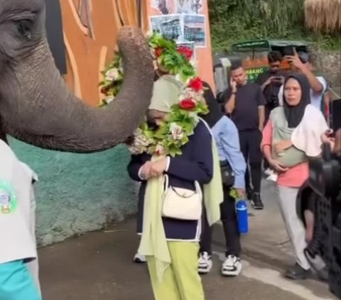 Sederet Kegiatan Seru Nagita Slavina di Bandung saat Temani Jeje Govinda, Naik Angkot Hingga Kunjungi Pasar Kaget