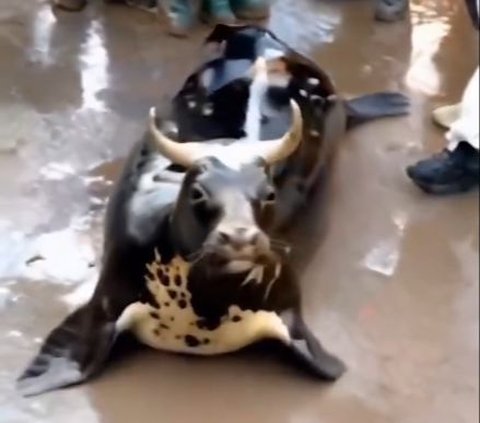 Viral! Video of Strange Creature with a Cow's Head and a Sea Lion's Body, Netizens: 'Don't Share it with the Family WhatsApp Group'