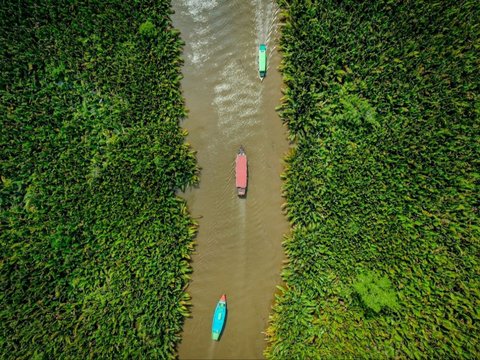 Mengunjungi Desa Sei Sekonyer Kalteng, Rasakan Sensasi Spa Pakai Ramuan Hutan hingga Bermalam di Kapal