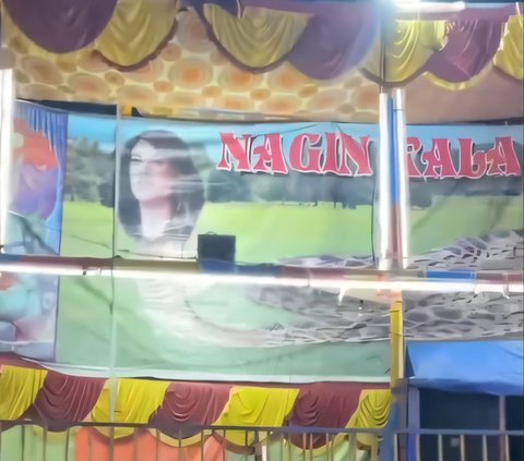 Instead of being scared, this young man laughed when he saw a woman with a snake body at an Indian night market