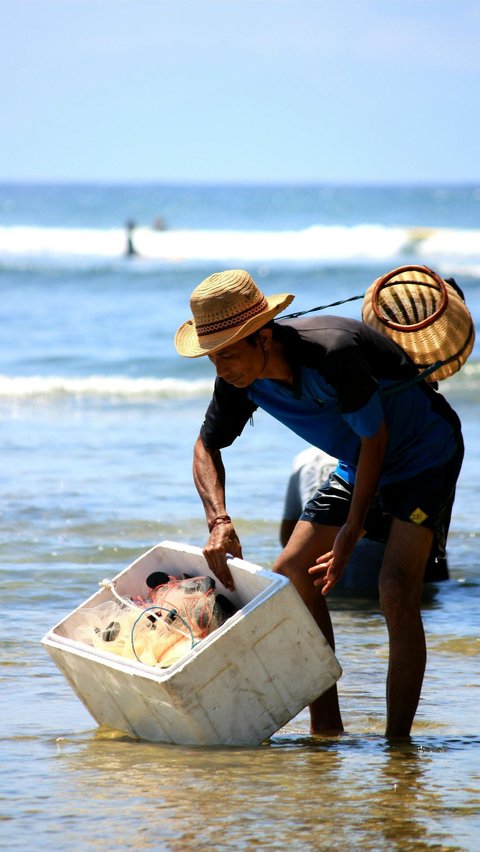 Sebagai Negara Maritim, Minat Orang Indonesia Makan Ikan Terendah di Asia