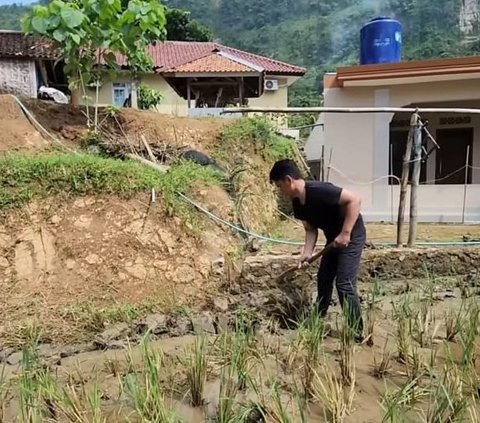 Usai Ngebajak Sawah, Ayah Lesti Kejora Bahagia Sang Istri Tercinta Antar Makanan 'Istriku Tersayang, Kade Gebis'