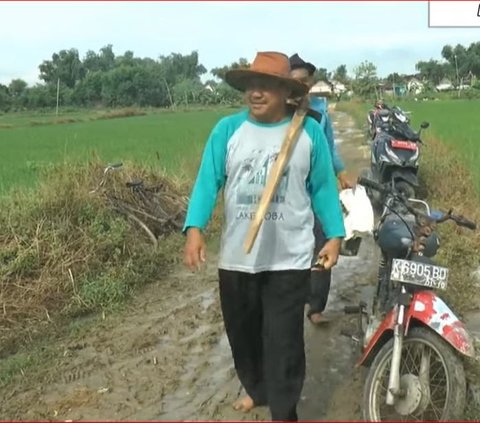 Fakta Terkini Ketua DPRD Rembang yang 