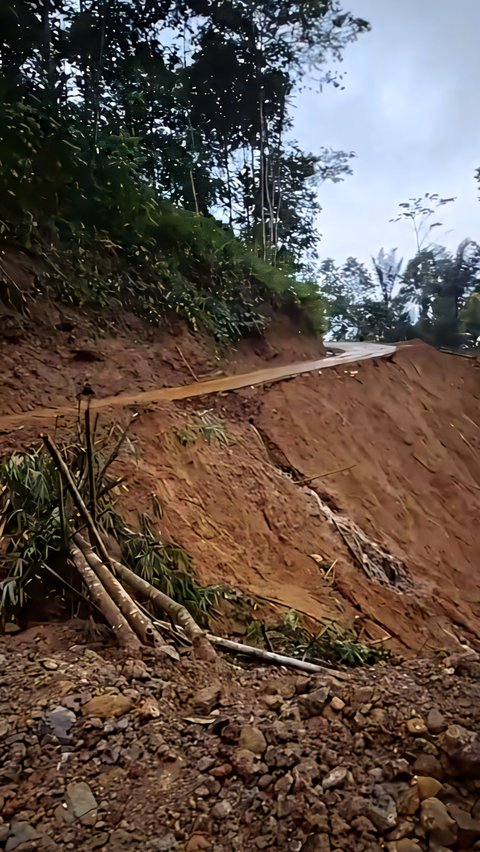 To Carry Out Tasks, This Girl Takes an Extreme Side Path Along a Cliff that Makes Her Knees Tremble