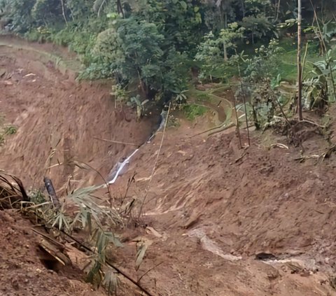 To Carry Out Tasks, This Girl Takes an Extreme Side Path Along a Cliff that Makes Her Knees Tremble