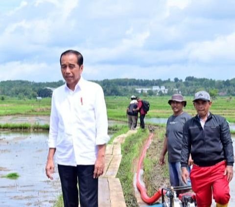 Cancel Move to IKN in July, Foreign Media Assess Jokowi Failed to Meet Development Targets