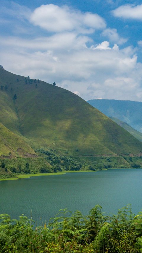 Keragaman Flora dan Fauna