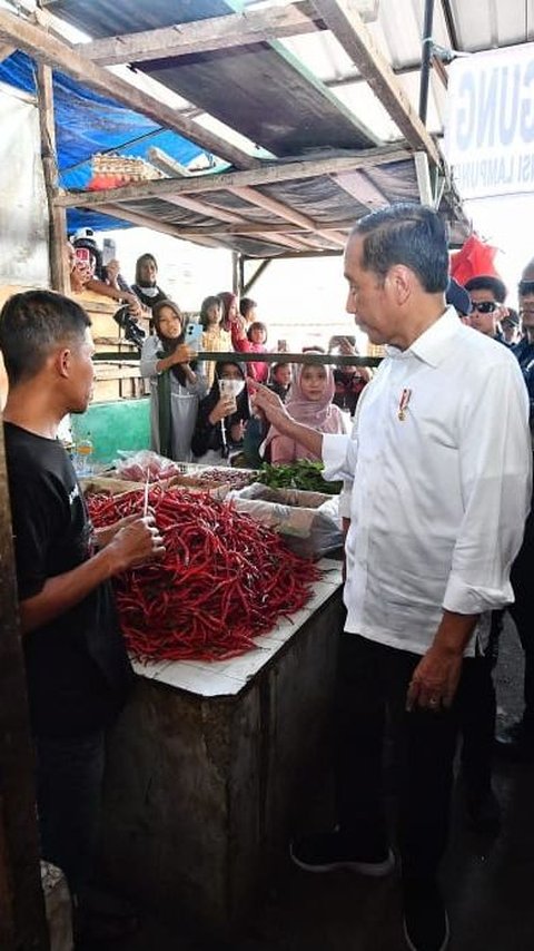 Jokowi Blusukan ke Pasar Kota Agung, Cek Harga dan Berikan Bantuan Modal Kerja