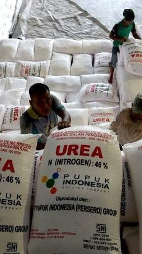 Bangun Gudang Curah Area Kapasitas 20.000 Ton, Dirut Pupuk Indonesia: Untuk Dukung Ketahanan Pangan