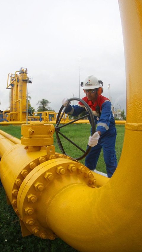 Terungkap, Begini Strategi Subholding Gas Pertamina Tingkatkan Penyaluran Gas Bumi Domestik