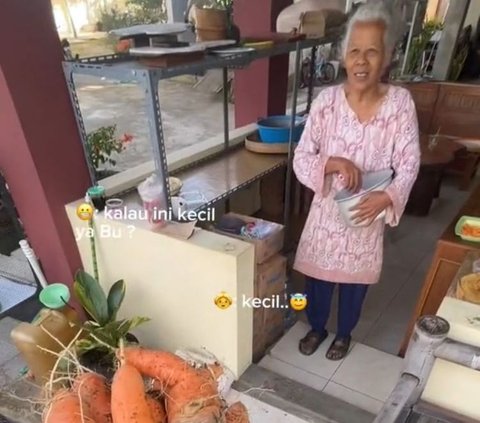 Momen Seru Mahasiswa KKN Beli Wortel Cabut Sendiri di Kebun, Satu Kilogram Cuma Rp5.000