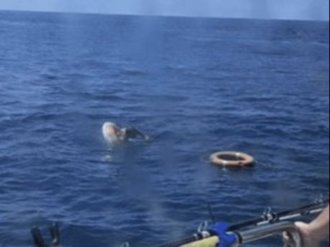 Fell Asleep While Relaxing, 58-Year-Old Man Drifted to the Open Sea with Colorful Floaties