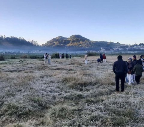 Sudah 3 Hari Kompleks Candi Arjuna Dieng Diselimuti Es, Begini Potretnya