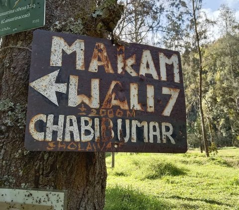 Momen Anak Bupati Trenggalek Ajak Ayah Ibunya Naik Gunung Ingin Dapat Pengalaman Religius, Terinspirasi Film