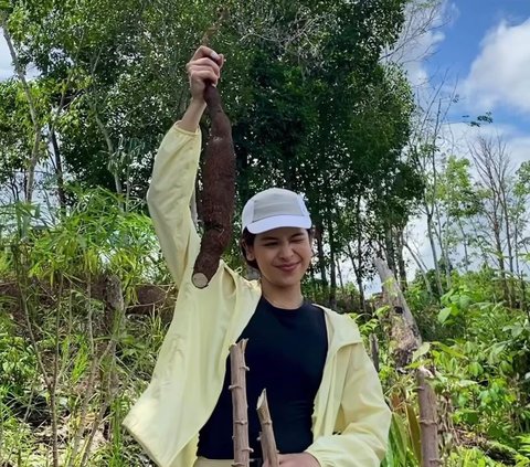 Potret Maudy Ayunda Cabut Singkong di Desa, Bahagia Bisa Rasakan Makanan Langsung Petik dari Kebun