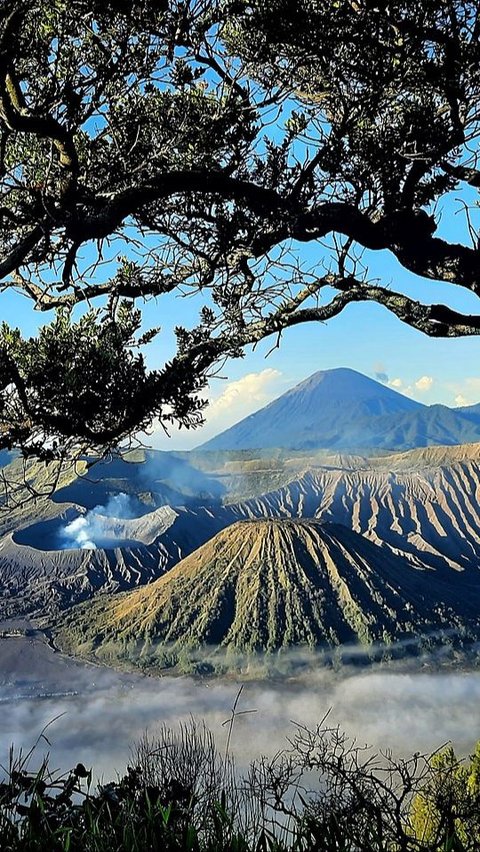 Mengenal Embun Upas, Fenomena yang Kembali Muncul di Wisata Gunung Bromo