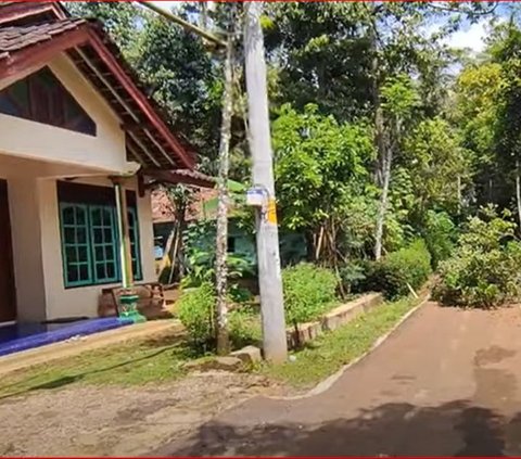 Berada di Tengah Hutan Angker, Kampung Sibimo di Batang Ini Hanya Boleh Dihuni 7 Rumah