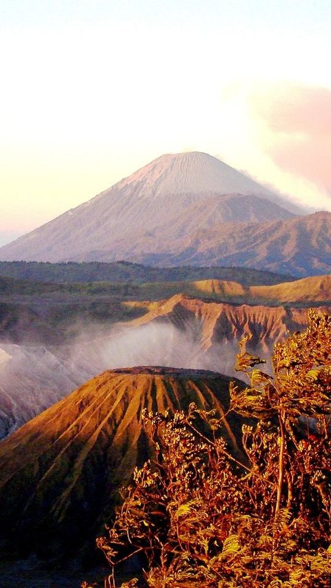 <b>40 Caption Bromo Lucu, Receh dan Menghibur</b>