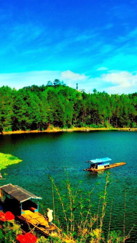 Eksotisme Telaga Menjer di Wonosobo, Wisatawan Bisa Nikmati Panorama Indah di Atas Perahu