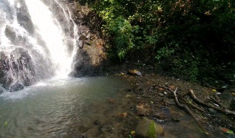 Jalur Treking yang Menantang