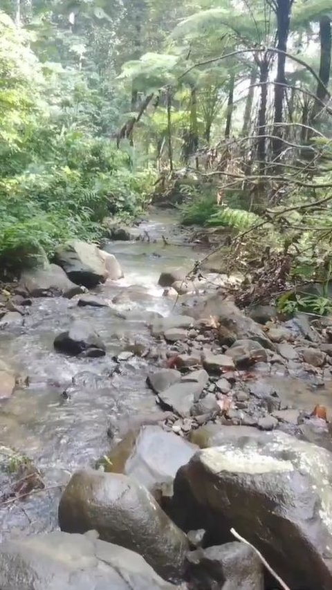 Masih Sepi Pengunjung, Curug Lawang di Serang Ini Ajak Pengunjung Bersantai di Tengah Hutan