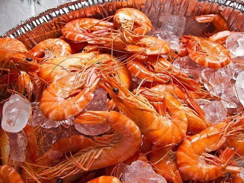 Tips Konsumsi Kulit Udang