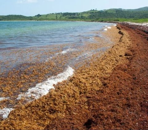 The Only Sea in the World Without a Coast, a Terrifying Natural Phenomenon